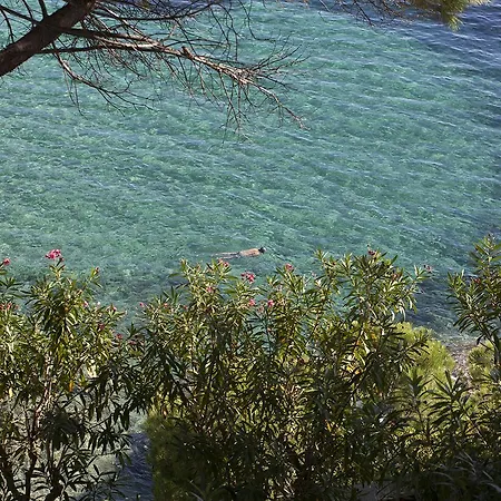 Hotel Almadraba Park 4*
